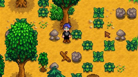 Where Do Stardew Valley Screenshots Go? File Location - GINX TV