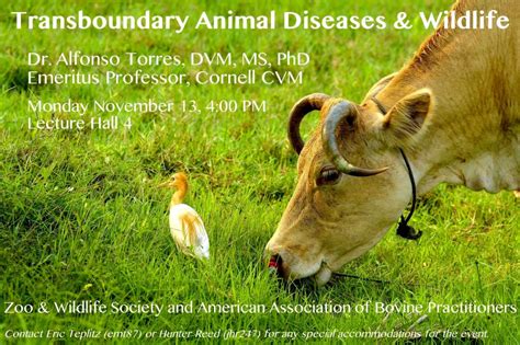 Event Transboundary Animal Diseases And Wildlife Wildlife