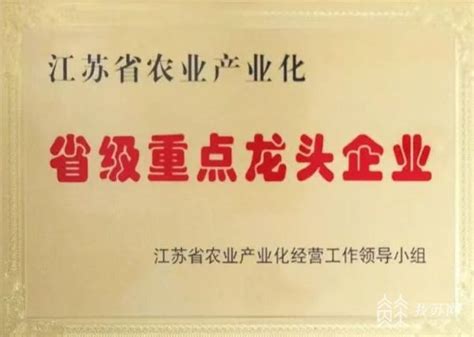 “合格保级” “审定递补” 2023年江苏农业产业化省级龙头企业名单揭晓 我苏网