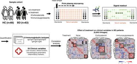 Flow Chart Of High Throughput Immunoglobulin Protein Quantification By