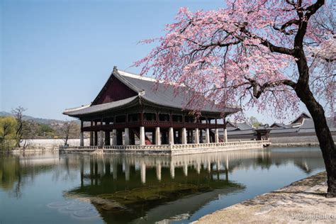 Visit Gyeongbokgung A Royal Korean Palace Our Big Journey