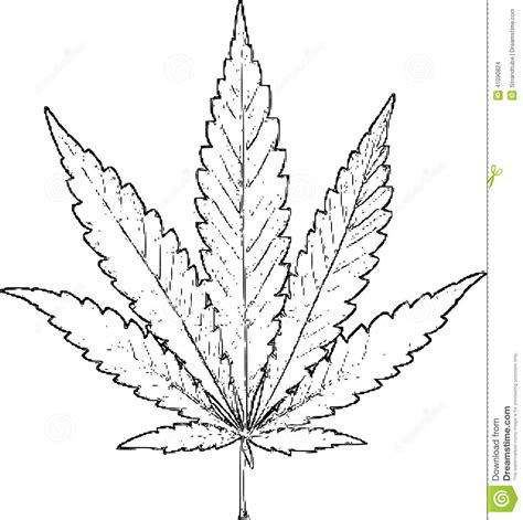 Weed Drawing At Getdrawings Free Download