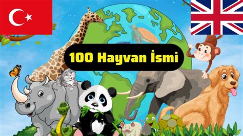 İngilizce 100 Hayvan İsmi Animals in Turkish YouTube