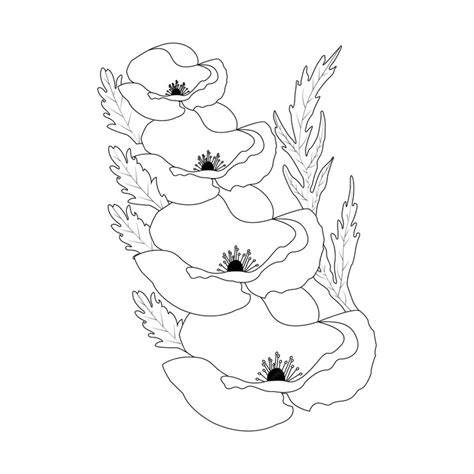 Premium Vector Hand Drawn Poppy Flower Outline Illustration