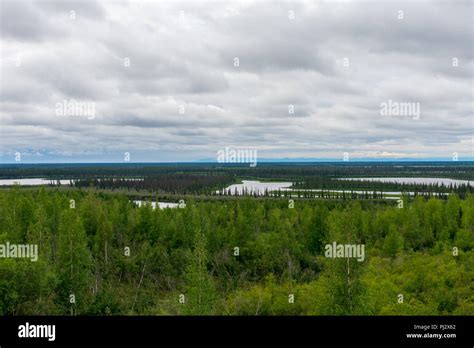 The Mackenzie River Delta, Northwest Territories, Canada Stock Photo ...