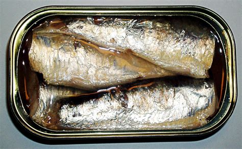 Sardine Canned Product Pinetree Vietnam Seafood Exporter