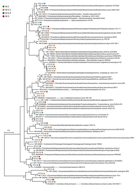 Phylogenetic Tree Of The Obtained Otus And Their Related Sequences Of