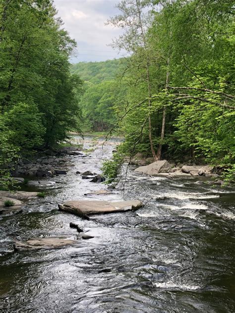 Discover The Enchanting Beauty Of New Milford Woods Nature Trail