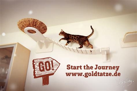 Katzenzimmer einrichtenZubehör für KatzenGOLDTATZE Katzenzimmer