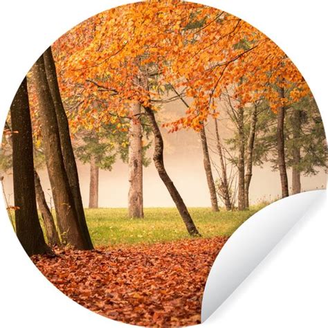 WallCircle Muurstickers Behangcirkel Bladeren Herfst Bos