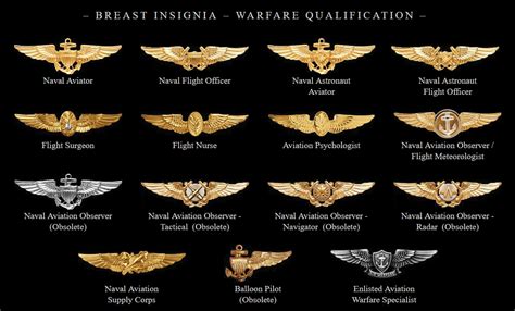 Insignias and Emblems of Air Force Pilots