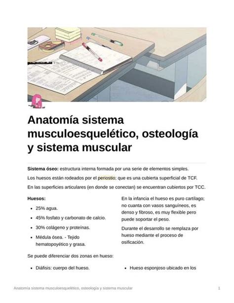 Anatomía sistema musculoesquelético osteología y sistema múscular