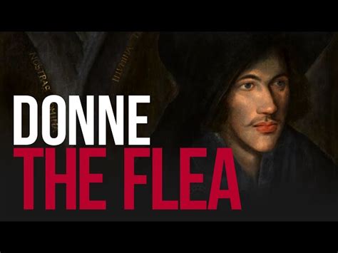 The Flea By John Donne A Poem Free John Donne Audiobook Text Pdf