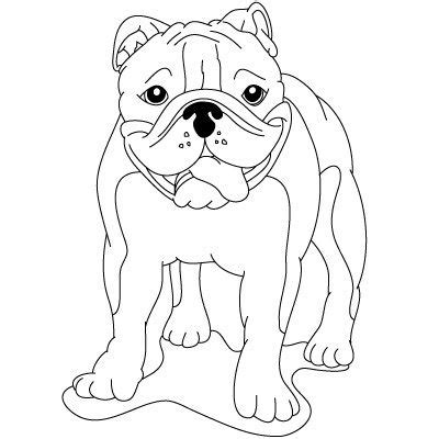 How to Draw Easy Bulldog Drawings Easy Cartoon Drawings, Easy Drawings ...