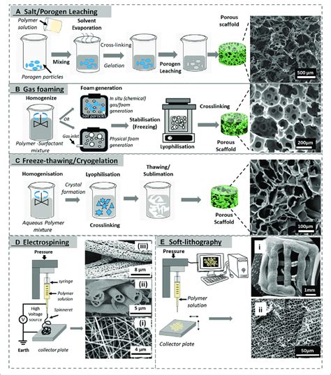 Various Porous Scaffold Fabrication Techniques A Porogen Leaching