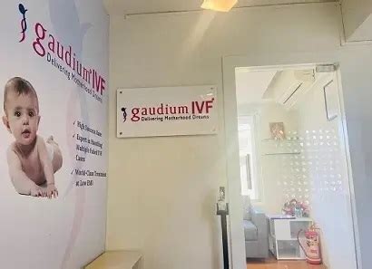 Top Best Ivf Centres In India With High Success Rate In Gaudium