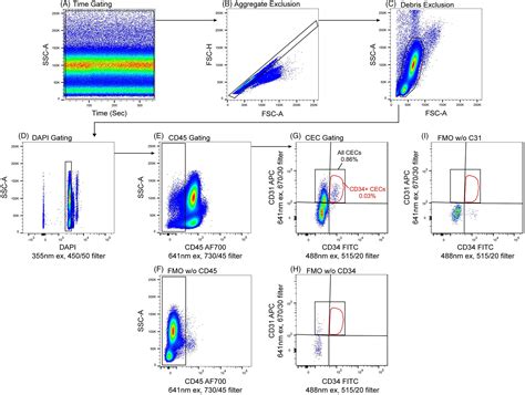 Comprehensive Phenotyping Of Endothelial Cells Using Flow Cytometry