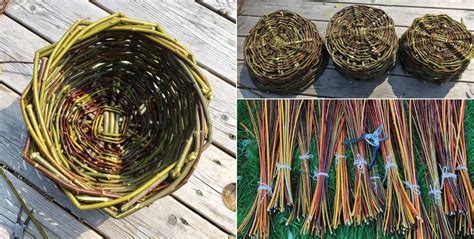 Willow basket weaving workshop - Devon Connect