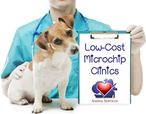 Microchip Clinics - Joint Animal Services