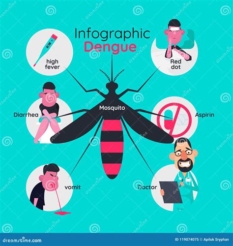 Infographics Template Design Of Details About Dengue Fever Stock Vector