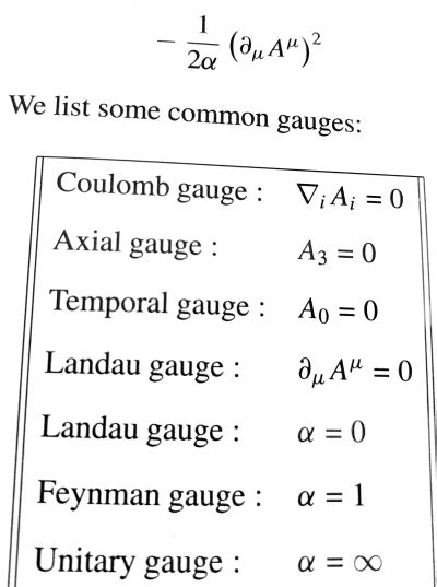 Gauge Fixing The Physics Travel Guide