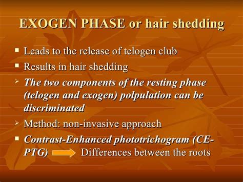 Exogen Phase Of Hair Life Cycle