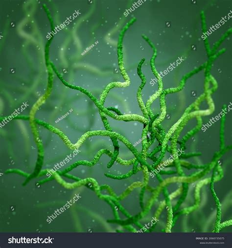 Medical Background Bacteria Spirilla Spirally Twisted Stock Illustration 2060735075 Shutterstock