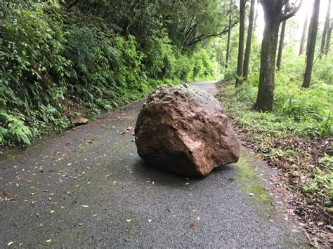 林業の裏方が実践！森林調査の1日 道と地形を記憶する！ 旅山ブログ