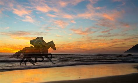 地方競馬でレースタイトルをつけられる『個人協賛競走』 Umas