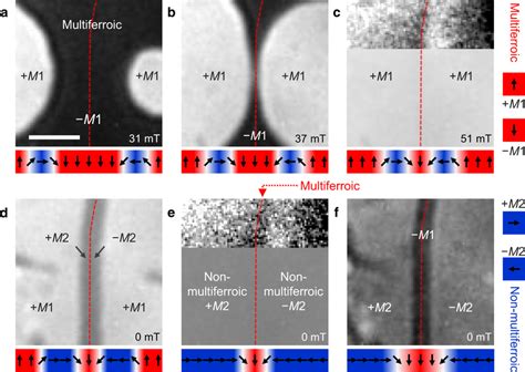 Transformation Of A Multiferroic Bulk Domain Into A Multiferroic Domain