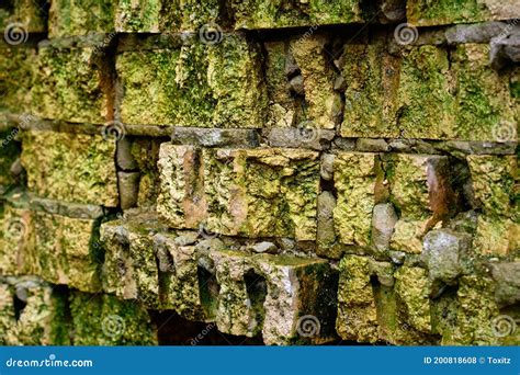 Textura Sombria De Tijolo Velho Coberto De Musgo E Molde Verdes