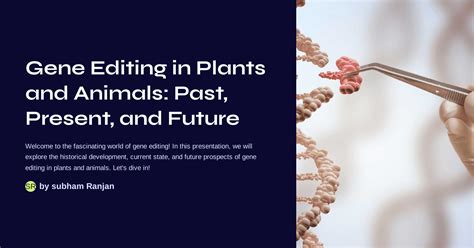 Gene Editing in Plants and Animals: Past, Present, and Future