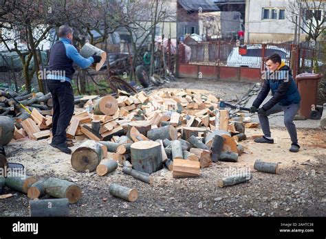 Father And Son Splitting Wood With Axes And Maul Stock Photo Alamy