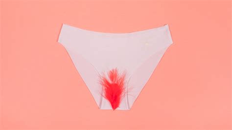 Espacios Para Conocer M S Sobre Tu Ciclo Menstrual Sensual Intim