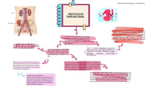 Y Trasplante Renal Pacientes Con Contraindicaciones Relativas O Con