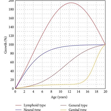 Four Major Types Of Growth Curves Of The Organs And The Body As A Download Scientific Diagram