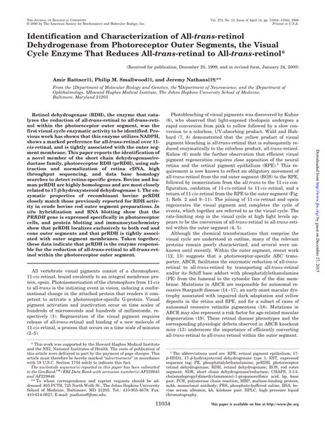 Pdf Identification And Characterization Of All Trans Retinol