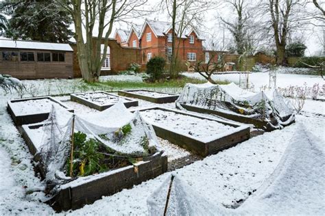 Simple Steps To Winterize Your Vegetable Garden And Protect Your