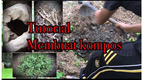 Manfaatkan Kotoran Ayam Buat Pupuk Kompos Youtube