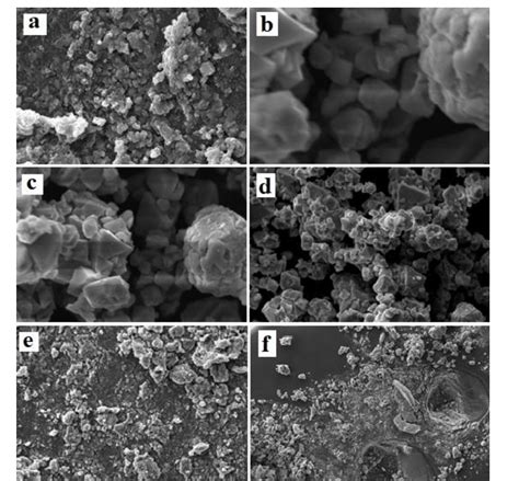 The Sem Images Of Polypyrrole In O Nanocomposites A Ppy B Ppy In O