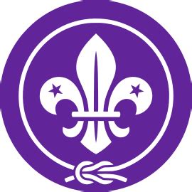 pijlkop scoutpedianl