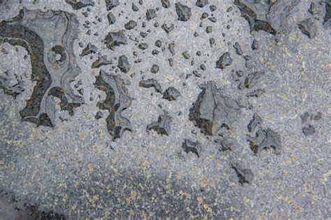 Gran Gota De Agua Sobre La Hierba Verde Gota De Roc O En La Ma Ana