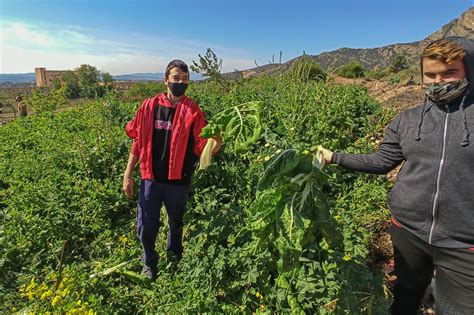 El Colegio Diocesano San Jos Obrero De Orihuela Estrena Huerto Urbano