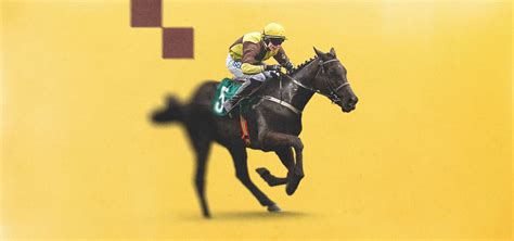 Galopin Des Champs next race: When is the Gold Cup winner next in action? - bet365 News UK