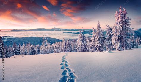 Foggy winter sunrise in the snowy mountain Stock Photo | Adobe Stock