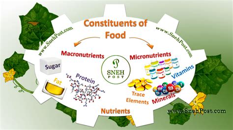 Macronutrients And Micronutrients Chart - img-primrose