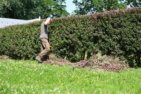 Photos Espace Vert Particulier Bois Environnement Services