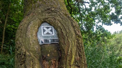 Auf dem E1 von Bad Schwartau nach Klein Grönau EntdeckerGen