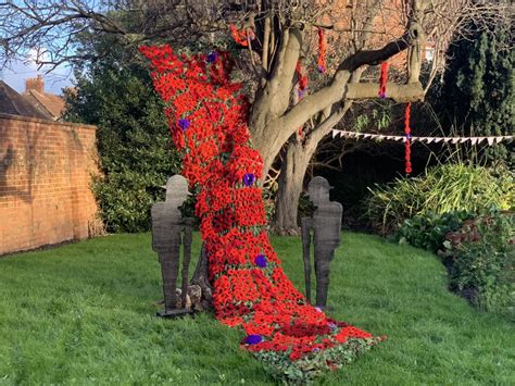 Impressive Poppy Display Unveiled In Highbridge For Remembrance Week