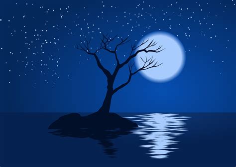 Beautiful Simple Moonlight Night Illustration With Tree Silhouette And